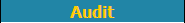 Audit