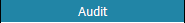 Audit
